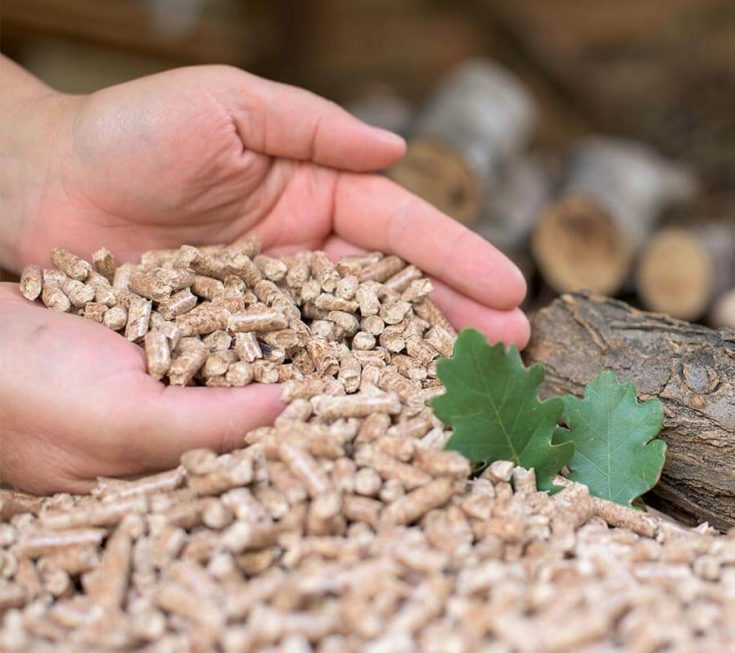 Can You Leave Pellets In A Pit Boss And How To Protect Them